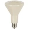 Ampoule Céramique Sans Lumière Lampe Chauffante Poule 150W - Kerbl