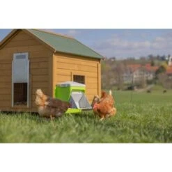 Mangeoire Poule à Pédale En Plastique SmartCoop 7,5kg - Kerbl -Chemin des Poulaillers Boutique 209221