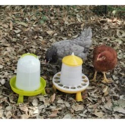 Gaun Mangeoire Poule à Pieds En Bioplastique Végétal Eco 2Kg 16 Gaun Mangeoire Poule à Pieds En Bioplastique Végétal Eco 2Kg -Chemin des Poulaillers Boutique abreuvoir et mangeoire avec deux poules 1