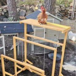 Aire De Jeux En Bois Pour Poule Avec Balançoire -Chemin des Poulaillers Boutique aire de jeux poule avec balancoire avec poule