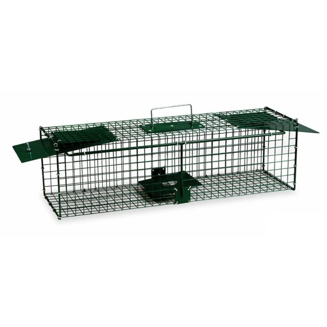 Cage Piège Double Entrée En Métal Peint - Gaun 3 Cage Piège Double Entrée En Métal Peint - Gaun