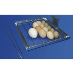 Couveuse Automatique Digitale Poule Cip Cip 40 Mini LED PVC Capacité 40 œufs - FIEM -Chemin des Poulaillers Boutique couveuse automatique cip cip fiem grille oeufs reglable 2