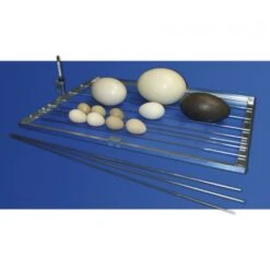 Couveuse Automatique Digitale Poule Cosmo 72 Mini LCD Capacité 72 œufs - FIEM 18 Couveuse Automatique Digitale Poule Cosmo 72 Mini LCD Capacité 72 œufs - FIEM -Chemin des Poulaillers Boutique couveuse automatique cosmo 72 mini led fiem grille