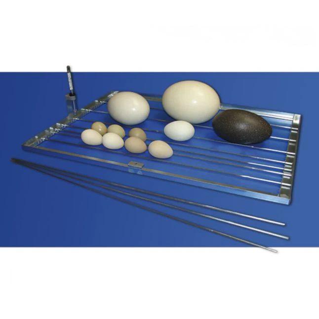 Couveuse Automatique Digitale Poule Cosmo 72 Mini LCD Capacité 72 œufs - FIEM 9 Couveuse Automatique Digitale Poule Cosmo 72 Mini LCD Capacité 72 œufs - FIEM – Image 7