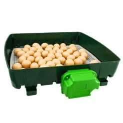 Couveuse Automatique Digitale Poule ET 49 Capacité 49 œufs - River Systems -Chemin des Poulaillers Boutique couveuse automatique digitale et 49 river systems ouverte