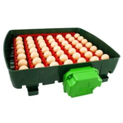 Couveuse Automatique Digitale Poule ET 49 Capacité 49 œufs - River Systems -Chemin des Poulaillers Boutique couveuse automatique digitale et 49 river systems retournement automatique