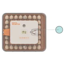 Couveuse Automatique Digitale Poule Dual Power Capacité 56 œufs - HHD 10 Couveuse Automatique Digitale Poule Dual Power Capacité 56 œufs - HHD -Chemin des Poulaillers Boutique couveuse wonegg dual power 56 oeufs hhd dessus