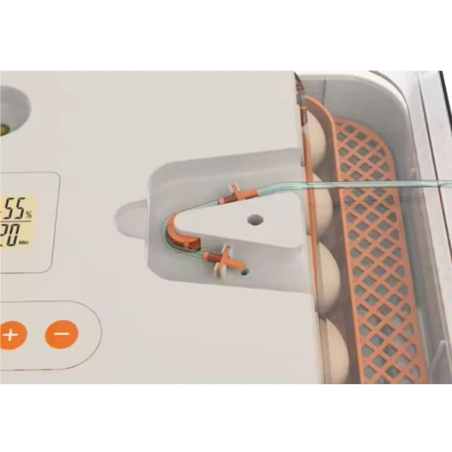 Couveuse Automatique Digitale Poule Dual Power Capacité 56 œufs - HHD 8 Couveuse Automatique Digitale Poule Dual Power Capacité 56 œufs - HHD – Image 6