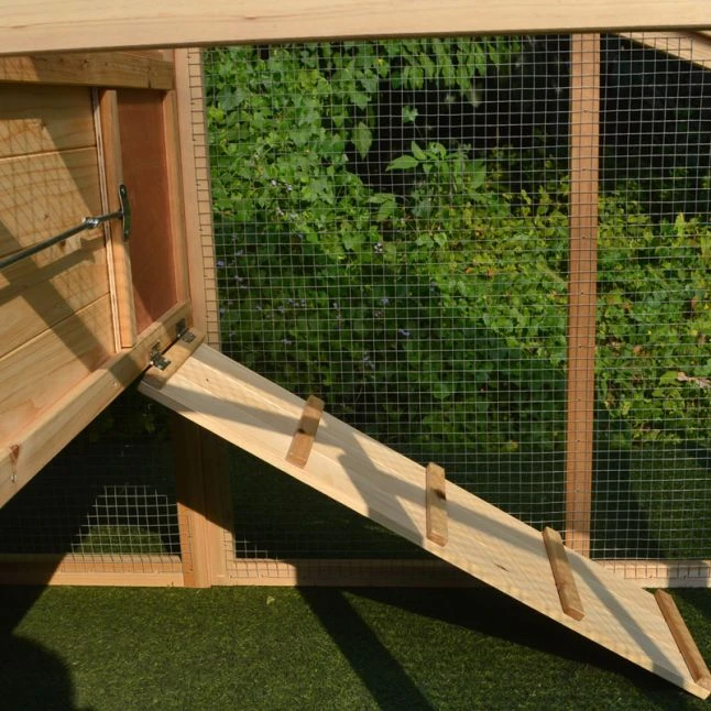 Poulailler Soie Toit Shingle Et Polycarbonate 4 à 6 Poules 7 Poulailler Soie Toit Shingle Et Polycarbonate 4 à 6 Poules – Image 5