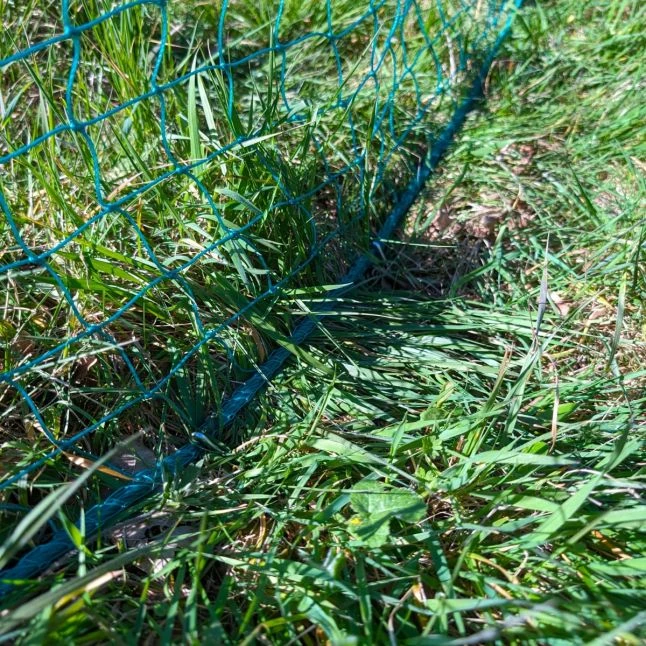 Filet Poule Grande Hauteur Double Pointe 25m X 1,26m - Zen Farm 14 Filet Poule Grande Hauteur Double Pointe 25m X 1,26m - Zen Farm – Image 12