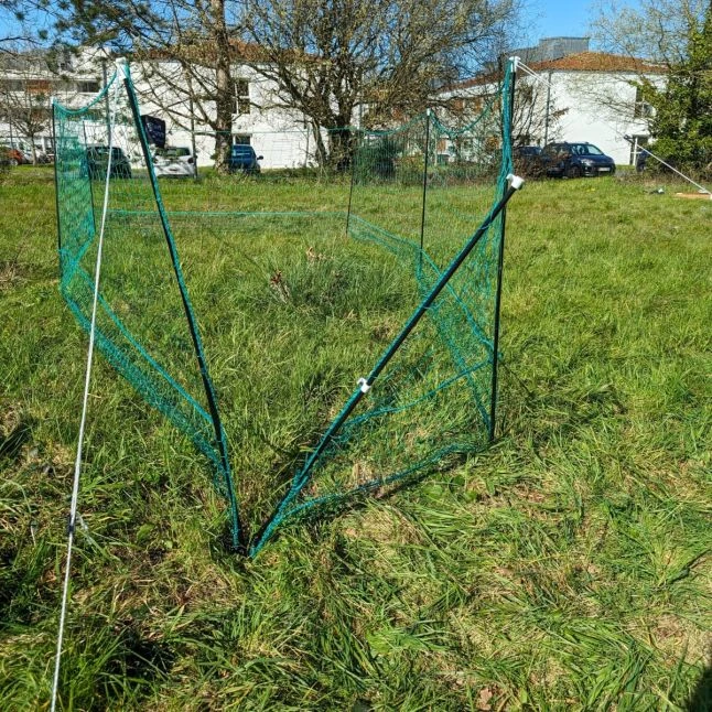 Filet Poule Grande Hauteur Double Pointe 25m X 1,26m - Zen Farm 8 Filet Poule Grande Hauteur Double Pointe 25m X 1,26m - Zen Farm – Image 6