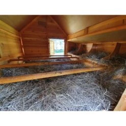 Poulailler Cémani XXL Toit Shingle Noir 15 à 18 Poules -Chemin des Poulaillers Boutique grand poulailler bassette xxl 15 18 poules vue face interieur 1 1