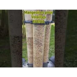 Mangeoire Pour Poule En Plastique Gris Tube Transparent 7kg Prima - Evena 23 Mangeoire Pour Poule En Plastique Gris Tube Transparent 7kg Prima - Evena -Chemin des Poulaillers Boutique hqdefault 4