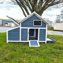 Poulailler Bantam XL Bleu Toit Shingle 2 à 4 Poules 12 Poulailler Bantam XL Bleu Toit Shingle 2 à 4 Poules -Chemin des Poulaillers Boutique img 20240315 wa0014