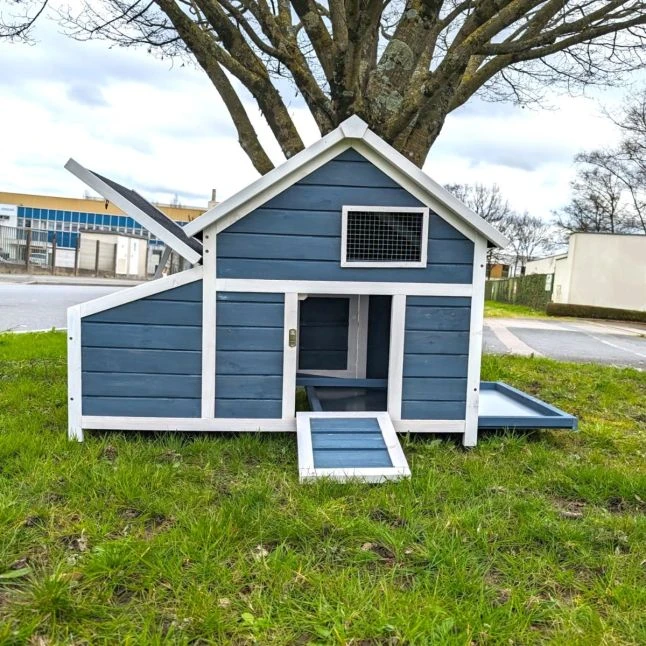 Poulailler Bantam XL Bleu Toit Shingle 2 à 4 Poules 4 Poulailler Bantam XL Bleu Toit Shingle 2 à 4 Poules – Image 2