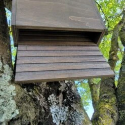 Nichoir Chauve-souris Bois FSC Petite Taille -Chemin des Poulaillers Boutique maison chauve souris petite vue dessous