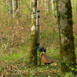 Mangeoire Pour Poule En Plastique Gris Tube Transparent 7kg Prima - Evena 22 Mangeoire Pour Poule En Plastique Gris Tube Transparent 7kg Prima - Evena -Chemin des Poulaillers Boutique mangeoire poule plastique tube transparent en foret