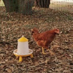 Gaun Mangeoire Poule à Pieds En Bioplastique Végétal Eco 2Kg 17 Gaun Mangeoire Poule à Pieds En Bioplastique Végétal Eco 2Kg -Chemin des Poulaillers Boutique mangeoire poule bioplastique avec poule
