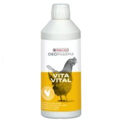VERSELE-LAGA Complexe Multivitaminé Pour Volailles VitaVital 500ML - Versele Laga 7 VERSELE-LAGA Complexe Multivitaminé Pour Volailles VitaVital 500ML - Versele Laga -Chemin des Poulaillers Boutique oropharma vita vital 500 image 2 1