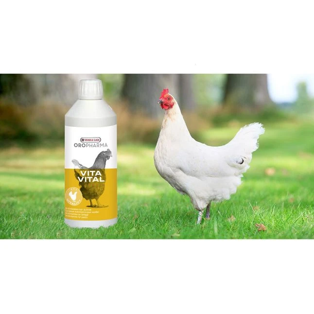 VERSELE-LAGA Complexe Multivitaminé Pour Volailles VitaVital 500ML - Versele Laga 4 VERSELE-LAGA Complexe Multivitaminé Pour Volailles VitaVital 500ML - Versele Laga – Image 2