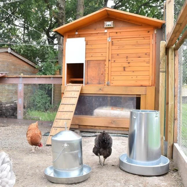 Poulailler Vorwerk Toit Shingle 10 à 12 Poules 16 Poulailler Vorwerk Toit Shingle 10 à 12 Poules – Image 14