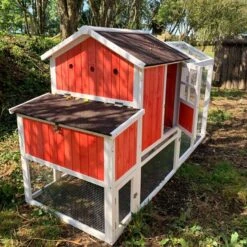 Poulailler Ardennais 6 à 8 Poules Toit Shingle -Chemin des Poulaillers Boutique poulailler ardennais rouge 8 poules vue dos ouvert soleil