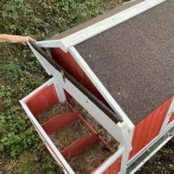 Poulailler Ardennais 6 à 8 Poules Toit Shingle -Chemin des Poulaillers Boutique poulailler ardennais rouge pondoir ouvert