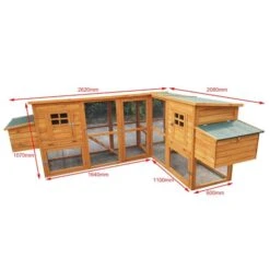 Liquidation - Poulailler Barbu Double Toit Shingle 6 à 10 Poules 9 Liquidation - Poulailler Barbu Double Toit Shingle 6 à 10 Poules -Chemin des Poulaillers Boutique poulailler bois barbu double dimensions