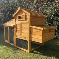 Poulailler Bréda S 1 à 2 Poules Toit Bois -Chemin des Poulaillers Boutique poulailler bois breda s soleil