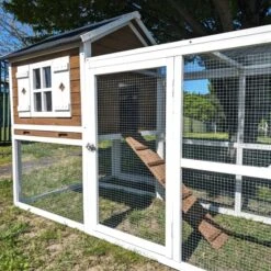 Poulailler Brahma Toit Shingle 6 à 8 Poules Bois FSC -Chemin des Poulaillers Boutique poulailler brahma vue c t 2