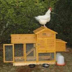 Poulailler Bréda S 1 à 2 Poules Toit Bois -Chemin des Poulaillers Boutique poulailler breda s 2 poules 1500s jean francois ranvier