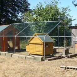 Poulailler Cémani L Toit Shingle Vert 4 à 6 Poules -Chemin des Poulaillers Boutique poulailler cemani dans parc grillage