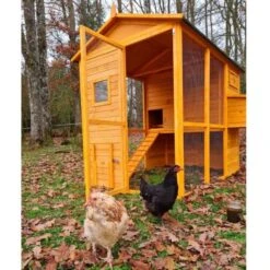 Poulailler Gaulois II Toit Shingle 6 à 10 Poules -Chemin des Poulaillers Boutique poulailler gaulois ii 4 a 6 poules avec poules avant ouvert