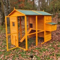 Poulailler Gaulois II Toit Shingle 6 à 10 Poules Avec Extension Parc Grillagé -Chemin des Poulaillers Boutique poulailler gaulois ii 4 a 6 poules cote pondoir porte ouverte 1 1