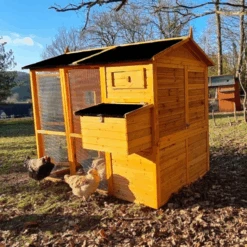 Poulailler Gaulois II Toit Shingle 6 à 10 Poules -Chemin des Poulaillers Boutique poulailler gaulois ii toit shingle 4 8 poules arri re