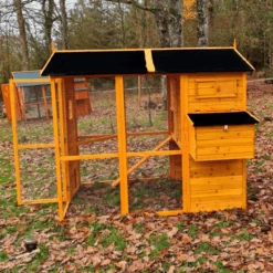 Poulailler Gaulois II Toit Shingle 6 à 10 Poules -Chemin des Poulaillers Boutique poulailler gaulois ii toit shingle 4 8 poules vue c t 2