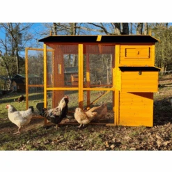 Poulailler Gaulois II Toit Shingle 6 à 10 Poules -Chemin des Poulaillers Boutique poulailler gaulois ii toit shingle 4 8 poules vue c t