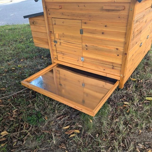 Tiroir à Déjections Pour Poulailler Cémani XL 6 à 10 Poules 4 Tiroir à Déjections Pour Poulailler Cémani XL 6 à 10 Poules – Image 2