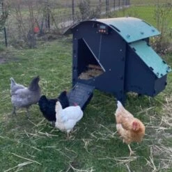 Poulailler Nestera Sur Pieds Taille S Plastique Recyclé 3 à 5 Poules Avec Portier Automatique Autonome Zen Farm -Chemin des Poulaillers Boutique poulailler nestera small avec portier automatique