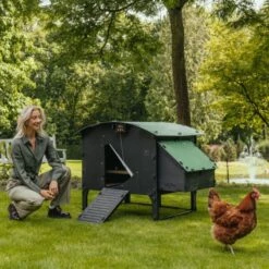 Poulailler Nestera Sur Pieds Taille L Plastique Recyclé 8 à 15 Poules 21 Poulailler Nestera Sur Pieds Taille L Plastique Recyclé 8 à 15 Poules -Chemin des Poulaillers Boutique poulailler plastique recycle nestera l avec portier automatique