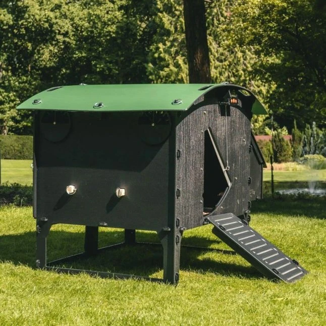 Poulailler Nestera Sur Pieds Taille L Plastique Recyclé 8 à 15 Poules 4 Poulailler Nestera Sur Pieds Taille L Plastique Recyclé 8 à 15 Poules – Image 2