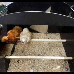 Poulailler Nestera Sur Pieds Taille L Plastique Recyclé 8 à 15 Poules 18 Poulailler Nestera Sur Pieds Taille L Plastique Recyclé 8 à 15 Poules -Chemin des Poulaillers Boutique poulailler plastique recycle nestera l interieur