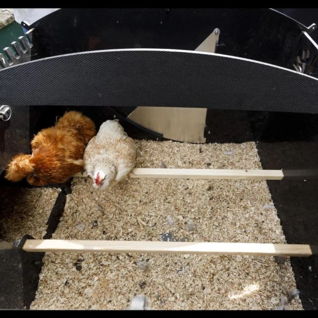 Poulailler Nestera Sur Pieds Taille L Plastique Recyclé 8 à 15 Poules 8 Poulailler Nestera Sur Pieds Taille L Plastique Recyclé 8 à 15 Poules – Image 6