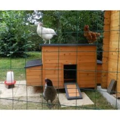 Poulailler Sussex XL Toit Shingle Noir Ouvrant 6 à 10 Poules Bois FSC -Chemin des Poulaillers Boutique poulailler sussex xl deux pondoirs vue avant