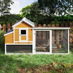 Chemin des Poulaillers Boutique -Chemin des Poulaillers Boutique poulailler toit renforce m 6a8 poules installe face 1