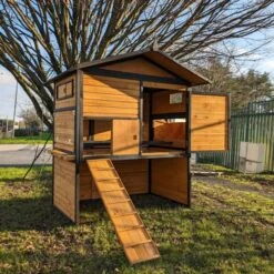 Poulailler Vorwerk Toit Shingle 10 à 12 Poules 20 Poulailler Vorwerk Toit Shingle 10 à 12 Poules -Chemin des Poulaillers Boutique poulailler vorwerck tout ouverty