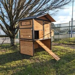 Poulailler Vorwerk Toit Shingle 10 à 12 Poules 18 Poulailler Vorwerk Toit Shingle 10 à 12 Poules -Chemin des Poulaillers Boutique poulailler vorwerck vue c t