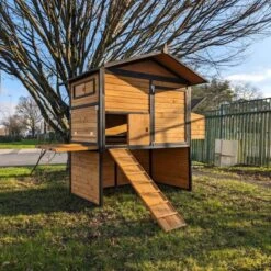 Poulailler Vorwerk Toit Shingle 10 à 12 Poules 19 Poulailler Vorwerk Toit Shingle 10 à 12 Poules -Chemin des Poulaillers Boutique poulailler vorwerck vue tout ouvert