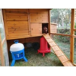 Poulailler Gournay Toit Shingle 10 à 12 Poules -Chemin des Poulaillers Boutique poulailler gournay 10 a 12 poules toit shingle vue interieur