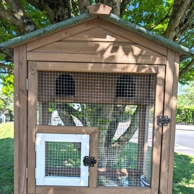 Volière Pour Oiseaux En Bois Double Toit Shingle 7 Volière Pour Oiseaux En Bois Double Toit Shingle – Image 5